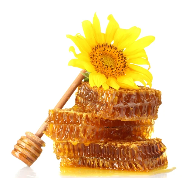 Favi dolci con miele, drizzler in legno e girasole, isolati su bianco — Foto Stock