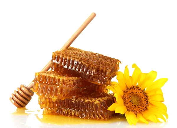 Panales dulces con miel, rociador de madera y girasol, aislados en blanco —  Fotos de Stock