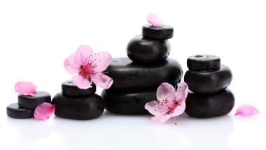 Spa taş düşer ve üzerinde beyaz izole pembe sakura çiçek