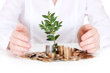 Woman hands with coins and plant clipart