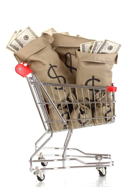 Bags with money in trolley isolated on white — Stock Photo, Image