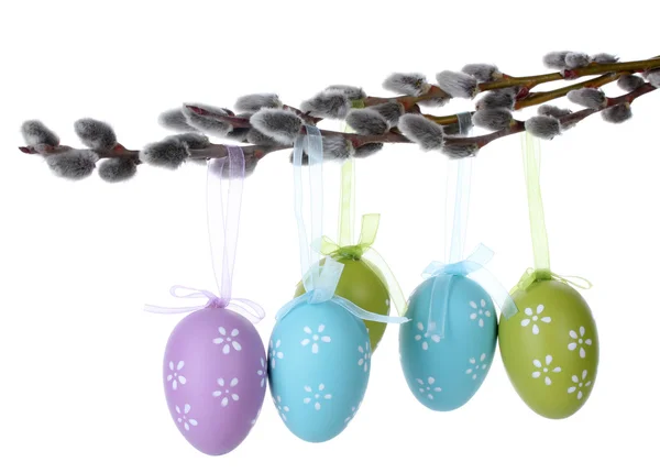 Pussy-willow twigs with Easter eggs isolated on white — Stock Photo, Image