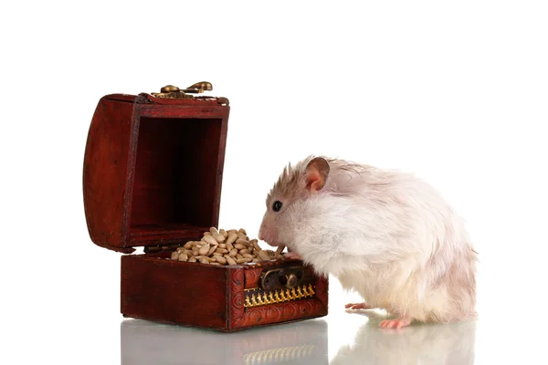 Sevimli hamster ve tohum izole beyaz ile göğüs — Stok fotoğraf