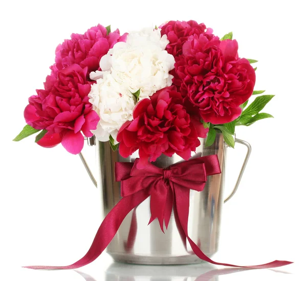 stock image Beautiful pink and white peonies in bucket with bow isolated on white