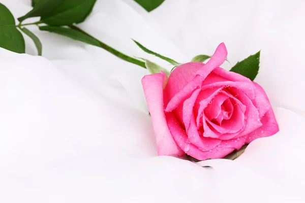 Красивая роза на белой ткани — стоковое фото