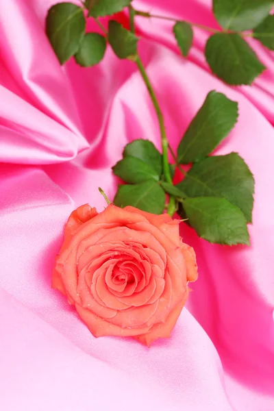 Mooie roos op roze doek — Stockfoto