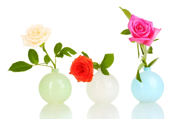 Vackra rosor i vaser isolerad på vit — Stockfoto