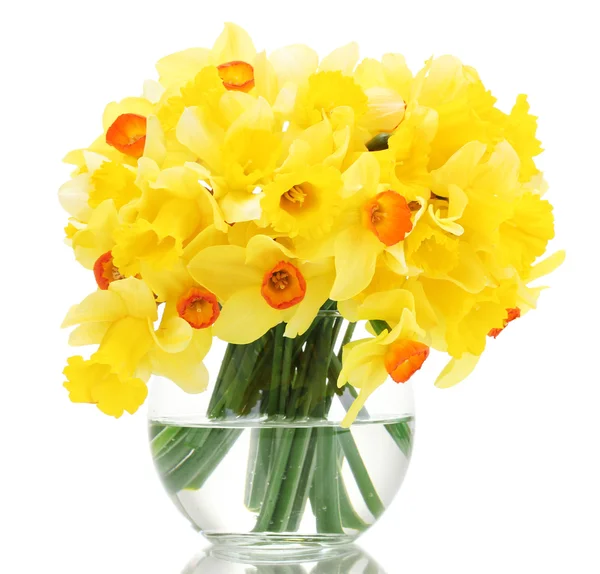 Hermosos narcisos amarillos en jarrón transparente aislado en blanco — Foto de Stock