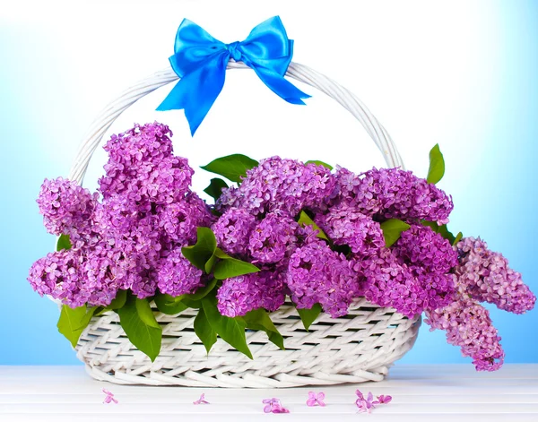 Mooie lila bloemen in mand op blauwe achtergrond — Stockfoto
