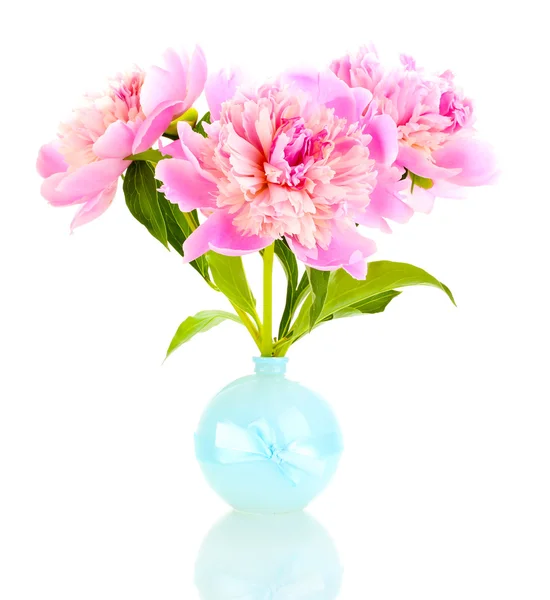 Három rózsaszín pünkösdi rózsa vázában elszigetelt fehér — Stock Fotó