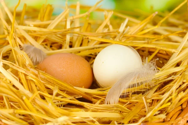 Ovos brancos e marrons em uma cesta de vime na palha no close-up — Fotografia de Stock