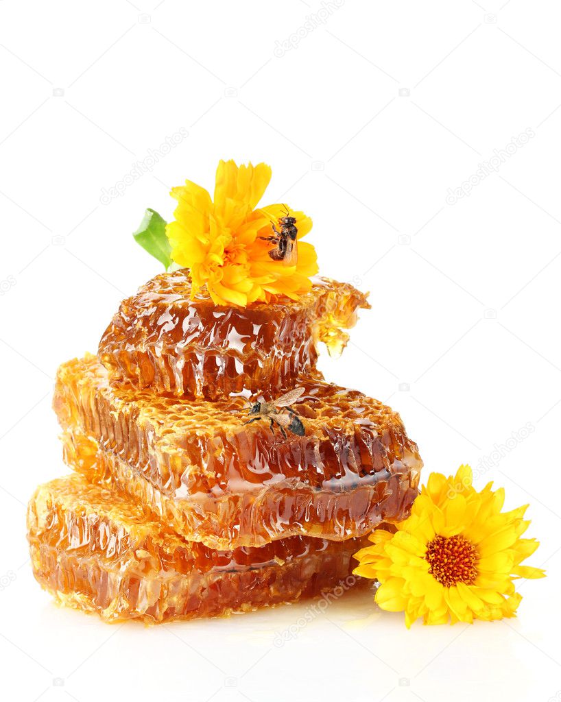 Sweet honeycomb with honey, bee and flowers, isolated on white