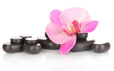 Spa stones with orchid flower isolated on white clipart