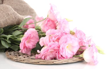 beyaz izole eustoma çiçek, buket