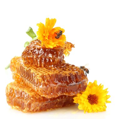 Sweet honeycomb with honey, bee and flowers, isolated on white clipart