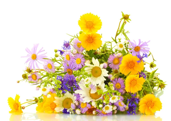Bellissimo bouquet di fiori di campo luminosi, isolato su bianco — Foto Stock