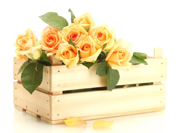 Belo buquê de rosas em caixa de madeira isolada em branco — Fotografia de Stock