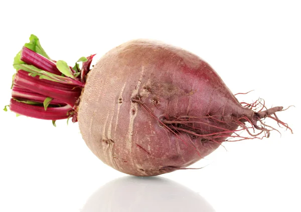 Young red beet isolated on white — Stock Photo, Image