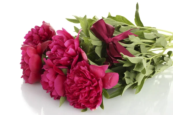Beautiful pink peonies with bow isolated on white — Stock Photo, Image