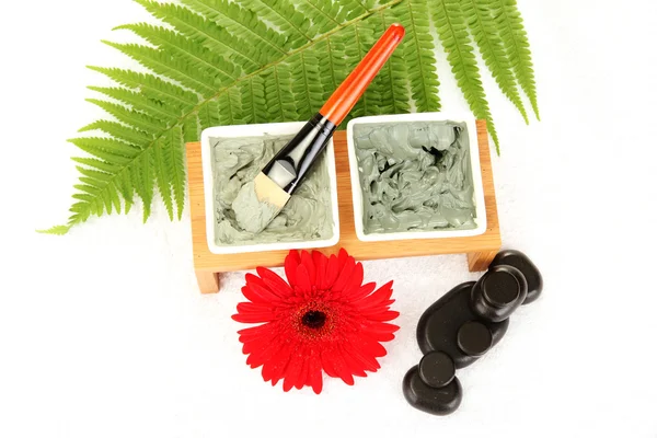 Kosmetiska lera för spa-behandlingar på vit bakgrund närbild — Stockfoto