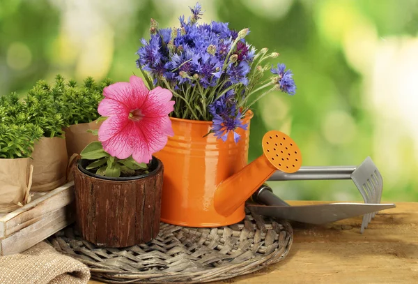 Vandkande, værktøjer og blomster på træbord på grøn baggrund - Stock-foto