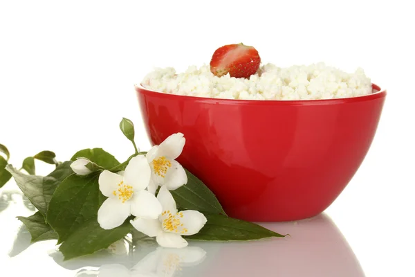 Süzme peynir çilek kırmızı kase ve beyaz arka plan yakın çekim çiçekler — Stok fotoğraf