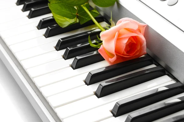 Fundo do teclado sintetizador com rosa — Fotografia de Stock