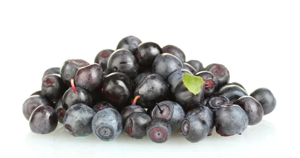 用白色分离的新鲜蓝莓 — 图库照片