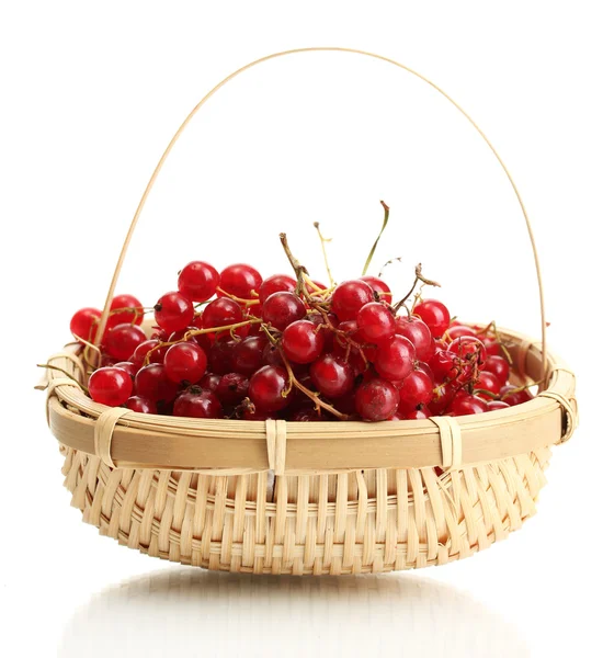 Ribes rosso in un cestino isolato su bianco — Foto Stock