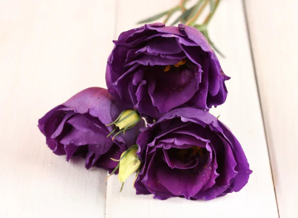 Purple eustoma on white wooden background — Stock Photo, Image