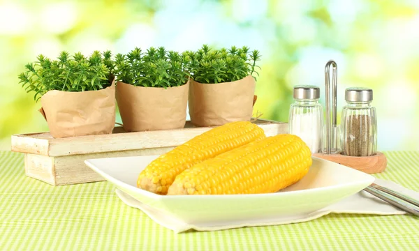 Boiled corn and flowers on a background of nature — Stock Photo, Image