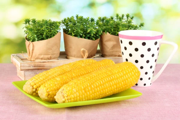 Gekookte maïs op de roze-tafelkleden op de achtergrond van de natuur — Stockfoto