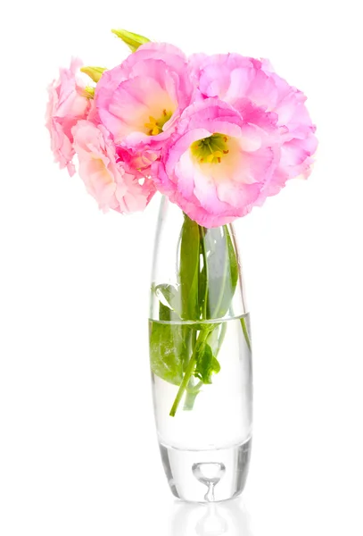Ramo de flores de eustoma en jarrón, aislado en blanco — Foto de Stock