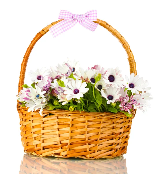 Buquê de belas flores de verão em cesta, isolado em branco — Fotografia de Stock