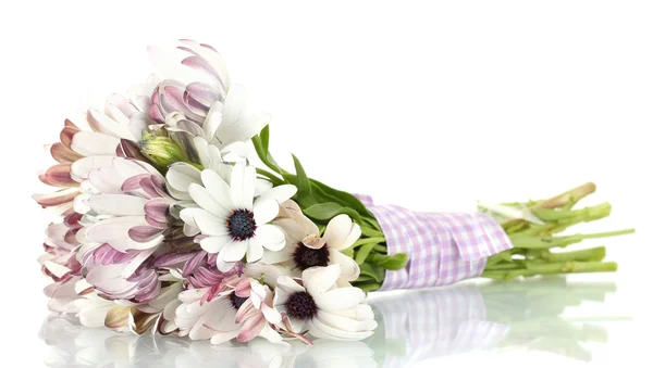Bukiet kwiatów piękne lato, na białym tle — Zdjęcie stockowe