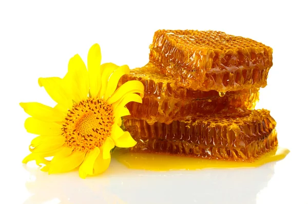 Sweet honeycombs with honey and sunflower, isolated on white — Stock Photo, Image