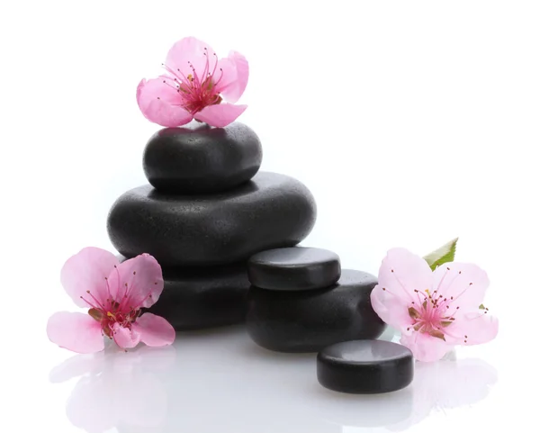 Wellness-Steine und rosa Sakura-Blüten isoliert auf weiß — Stockfoto