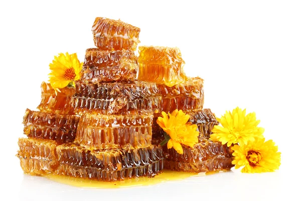 Süße Waben mit Honig und Blüten, isoliert auf weiß — Stockfoto