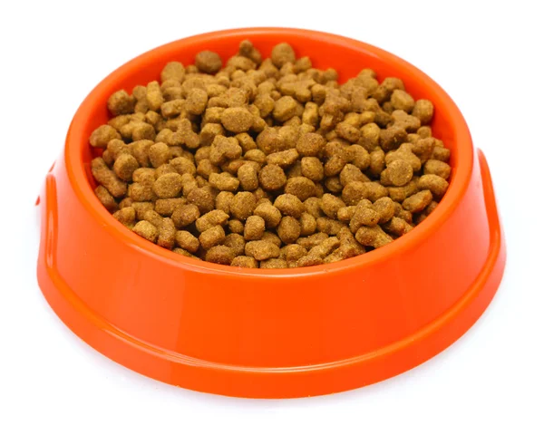 Cat food in bowl isolated on white — Stock Photo, Image