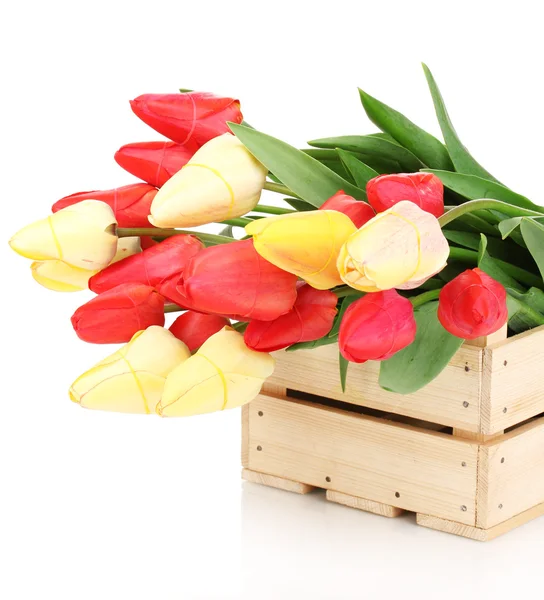 Belles tulipes dans une caisse isolée sur blanc — Photo