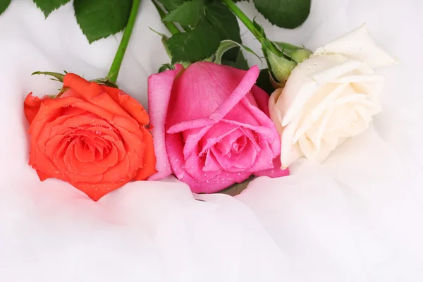 Hermosas rosas sobre tela blanca — Foto de Stock
