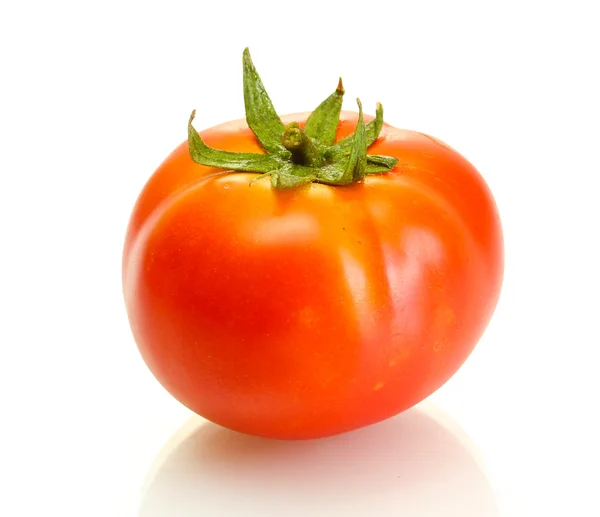 番茄在白色上隔离 — 图库照片