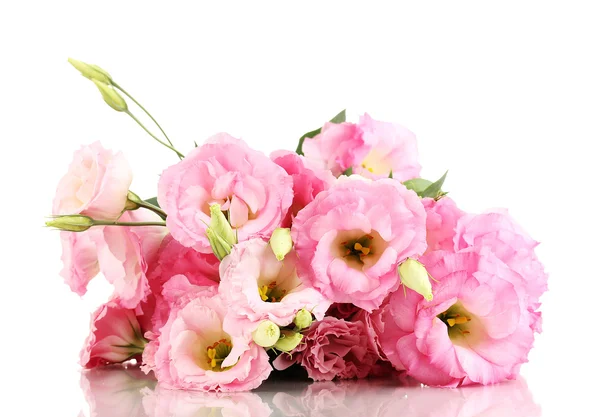 stock image Bouquet of eustoma flowers, isolated on white