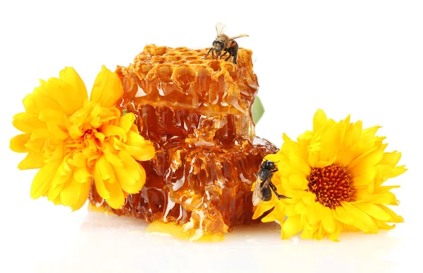 Γλυκό κερήθρα με μέλι, μέλισσα και τα λουλούδια, που απομονώνονται σε λευκό — Φωτογραφία Αρχείου