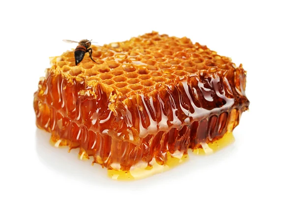 Panal dulce con miel y abeja, aislado en blanco — Foto de Stock