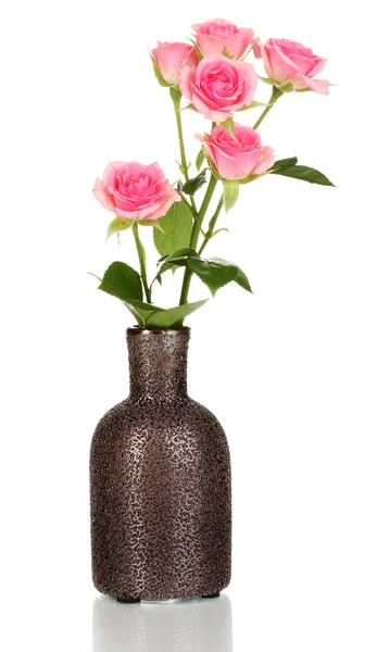 Rosas cor-de-rosa em vaso isoladas sobre branco — Fotografia de Stock