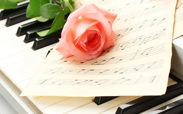 Pozadí klavírní klávesnice s růží — Stock fotografie