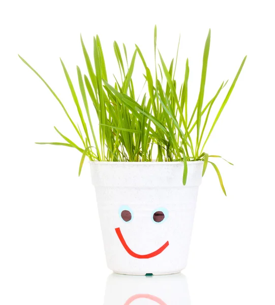 Garnek trawy na białym tle — Zdjęcie stockowe