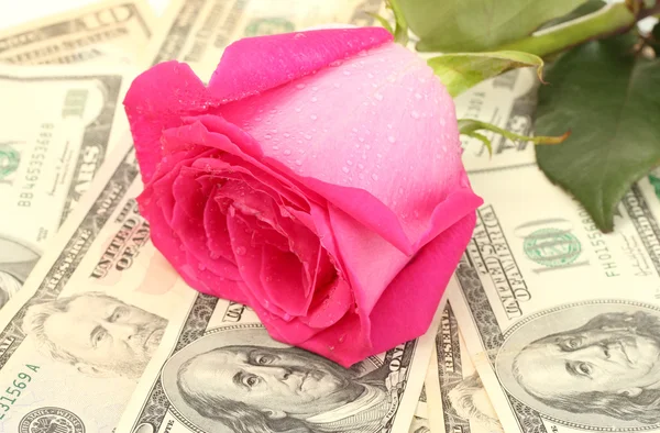 Koncepcja miłość i pieniądze — Zdjęcie stockowe