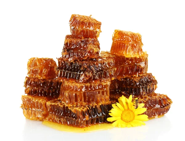 Сладкие соты с медом, пчелы на цветке, изолированные на белом — стоковое фото